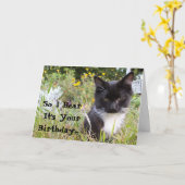 Sarcastic Tuxedo Kitten Geburtstagskarte Karte (Gelbe Blume)