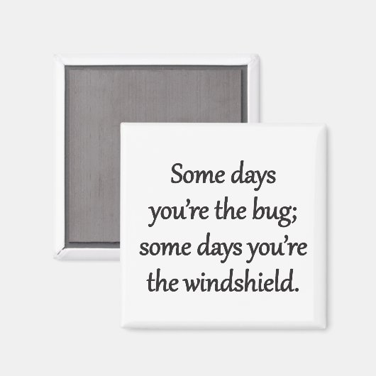 Sarcastic Zen Satz - The Bug And The Windshield Magnet (Vorderseite/Rückseite)