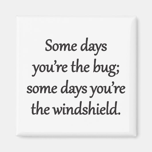 Sarcastic Zen Satz - The Bug And The Windshield Magnet (Vorne)