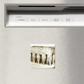 Sarcophagus Magnet (In Situ (Geschirrspüler))