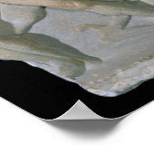 Sarcophagus Poster (Ecke)