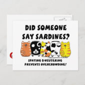 Sardine Cats Postkarte (Vorne/Hinten)