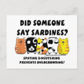 Sardine Cats Postkarte (Vorderseite)
