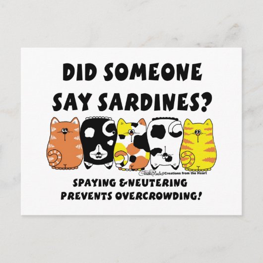 Sardine Cats Postkarte (Vorderseite)