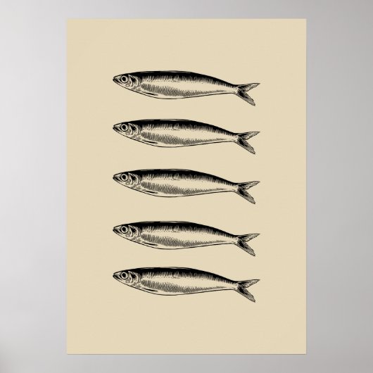 Sardinen Fisch Poster (Vorne)