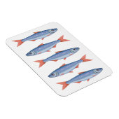 Sardinen Magnet (Rechte Seite)