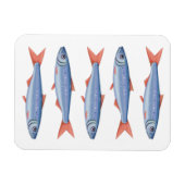 Sardinen Magnet (Horizontal)