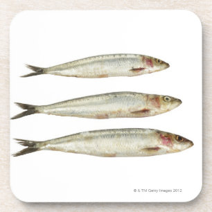 Sardinen (Pilchards) 2 Getränkeuntersetzer