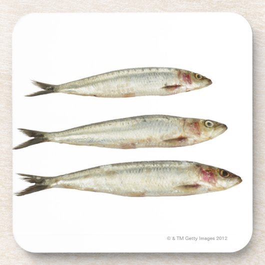 Sardinen (Pilchards) 2 Getränkeuntersetzer (Vorderseite)