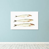 Sardinen (Pilchards) 2 Leinwanddruck (Insitu (Holzboden))