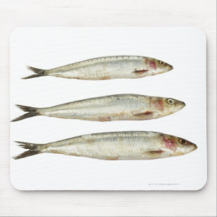 Sardinen (Pilchards) 2 Mousepad