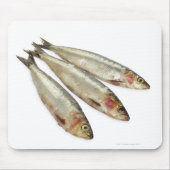 Sardinen (Pilchards) Mousepad (Vorne)
