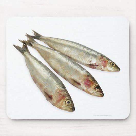 Sardinen (Pilchards) Mousepad (Vorne)
