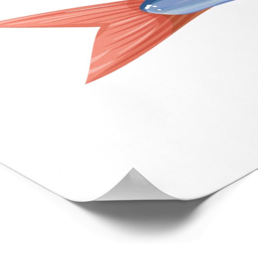 Sardinen Poster (Ecke)