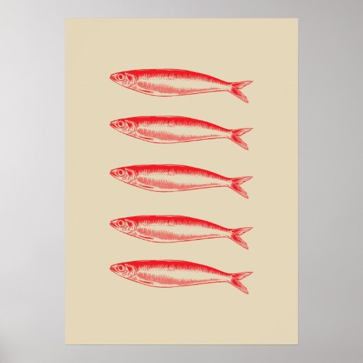 Sardines Fish Fisherman Poster (Vorne)