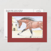 "Saree bint Sehkit" Postkarte (Vorne/Hinten)