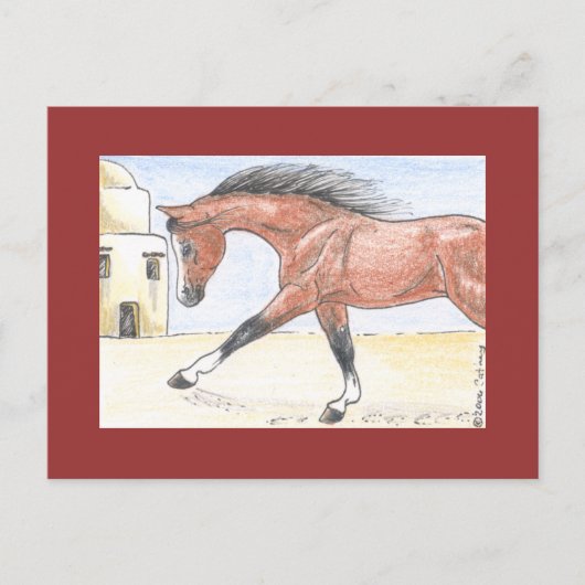 "Saree bint Sehkit" Postkarte (Vorderseite)