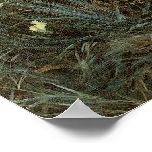 Sargent Carnation Lily Lily Rose Poster (Ecke)