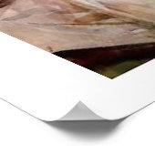 Sargent Montserrat Poster (Ecke)