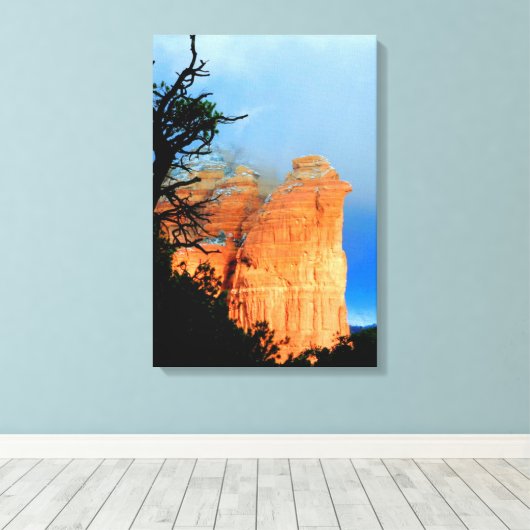 Sarggeflecht Leinwanddruck (Insitu (Holzboden))