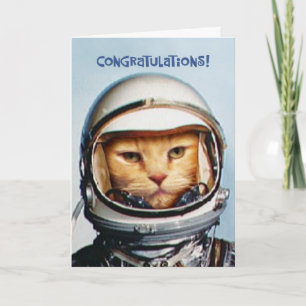 Sarkastischer 43. Geburtstag Karte