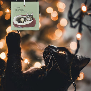 Sarkastischer Fauler Tabby-Katzen Humor Salbeigrün Ornament Aus Glas
