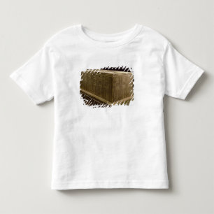 Sarkophag von Abu Hinterwelle (Kalkstein) (sehen Kleinkind T-shirt