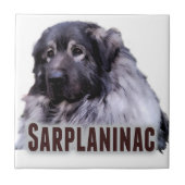 Sarplaninac Fliese (Vorderseite)