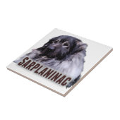 Sarplaninac Fliese (Seite)