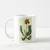 Sarracenia purpurea Buchhandlung Promo Kaffeetasse (Links)