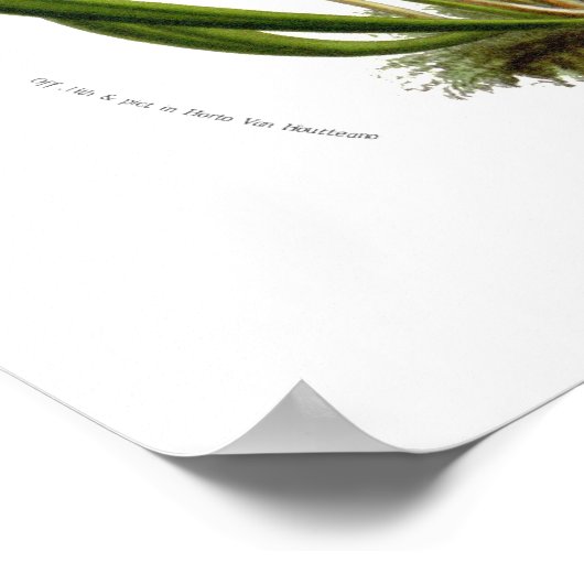 Sarracenia rubra poster (Ecke)