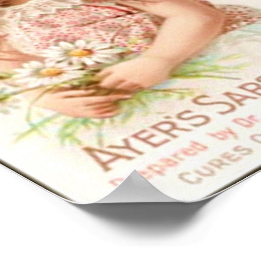 Sarsaparilla Medicine Poster (Ecke)