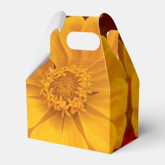 Sartain Geschenkschachtel (Rückseite)