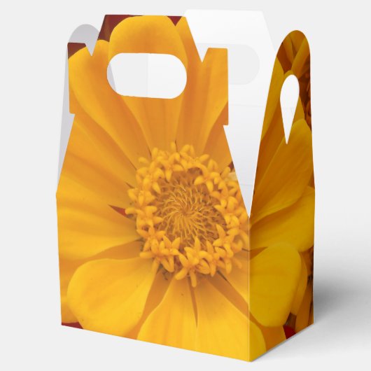 Sartain Geschenkschachtel (Geöffnet)