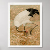 Sarus Crane in Rice Field von G.A. Audsley (1884) Poster (Vorne)