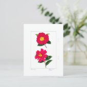 Sasanqua Plate: Ryomenko & Hiryu Postkarte (Stehend Vorderseite)