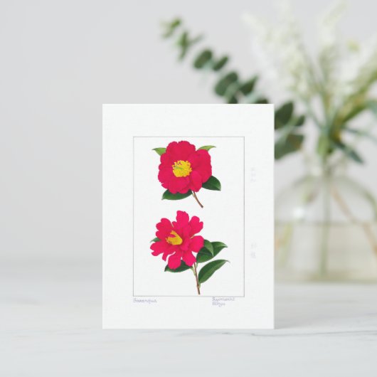 Sasanqua Plate: Ryomenko & Hiryu  Postkarte (Stehend Vorderseite)