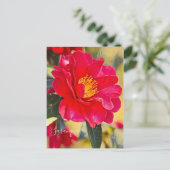 Sasanqua [Postcard] Postkarte (Stehend Vorderseite)