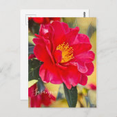 Sasanqua [Postcard] Postkarte (Vorne/Hinten)