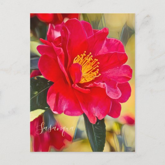 Sasanqua [Postcard] Postkarte (Vorderseite)