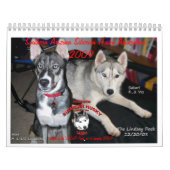 SASHA 2009 Kalender (Titelbild)