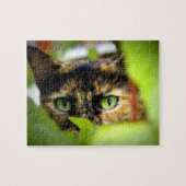 Sasha Puzzle (Horizontal)