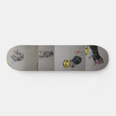 SASHA SKATEBOARD (Horizontal)