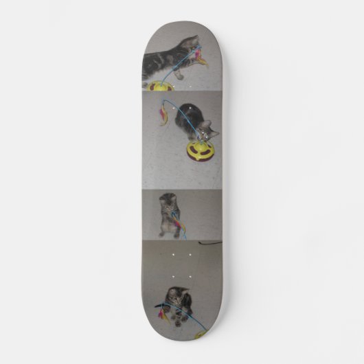 SASHA SKATEBOARD (Vorderseite)