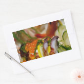 Sashimi Lmon Fisch Fisch Fisch Japanisch Rechteckiger Aufkleber (Umschlag)