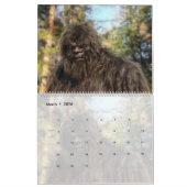 SASKATCH BIGFOOT CALENDAR - VOLUMEN 3 KALENDER (Mär 2026)