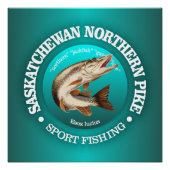 Saskatchewan Pike Fishing Poster (Vorderseite)