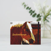 Saskatchewan, Sorrel Pferd in Profil Postkarte (Stehend Vorderseite)