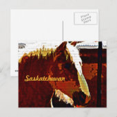 Saskatchewan, Sorrel Pferd in Profil Postkarte (Vorne/Hinten)