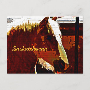 Saskatchewan, Sorrel Pferd in Profil Postkarte